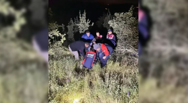 Kaybolan zihinsel engelli kadın, ormanda bulundu...