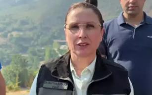 Çıkan orman yangını ile ilgili açıklama geldi...