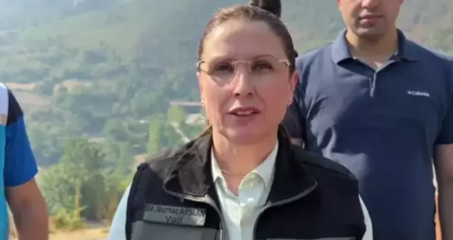 Çıkan orman yangını ile ilgili açıklama geldi...