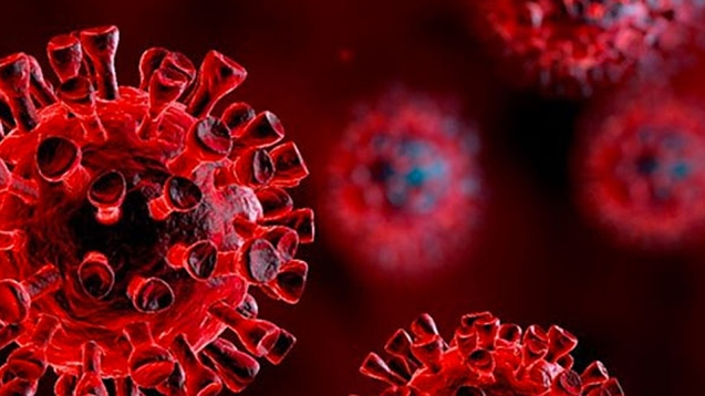 Korona Virüs kaynaklı 82. ölüm...