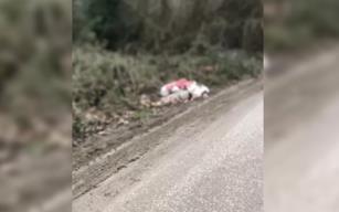 TIR ile gelen göçmenler yakalandı... 1 kişi ölü bulundu...