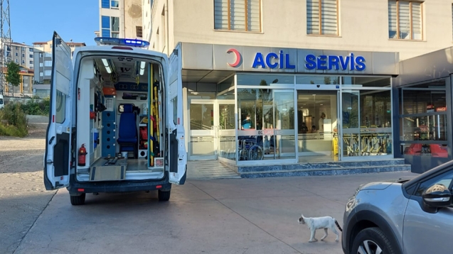 Echomar'da, hayata döndürüldü...