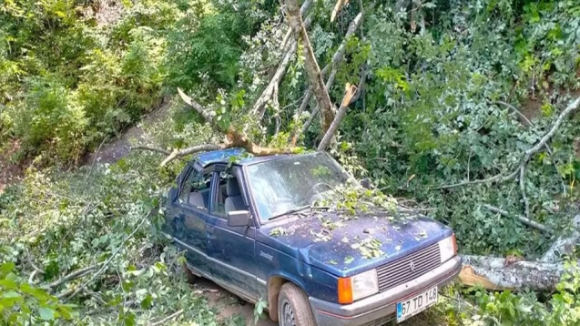 Otomobilin üzerine ağaç devrildi...