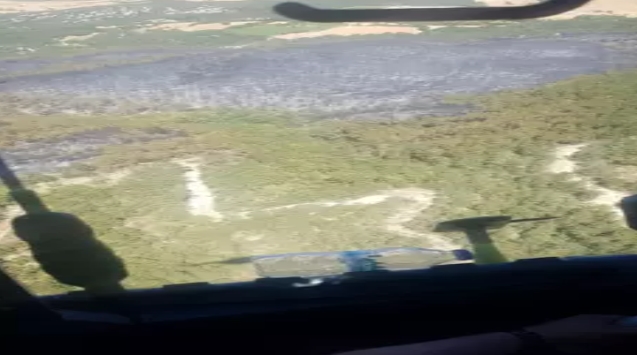 Orman yangını kontrol altında...2 gözaltı...