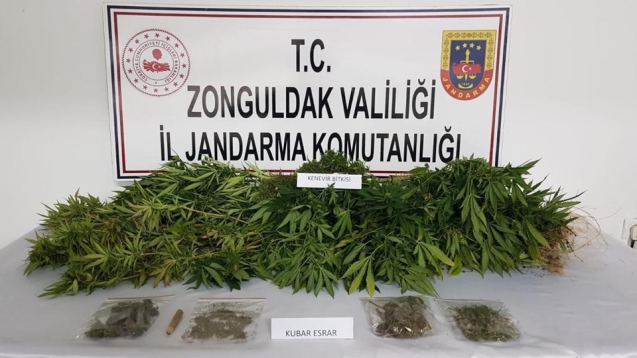 50 gram esrarla yakalanan şahıs gözaltına alındı...