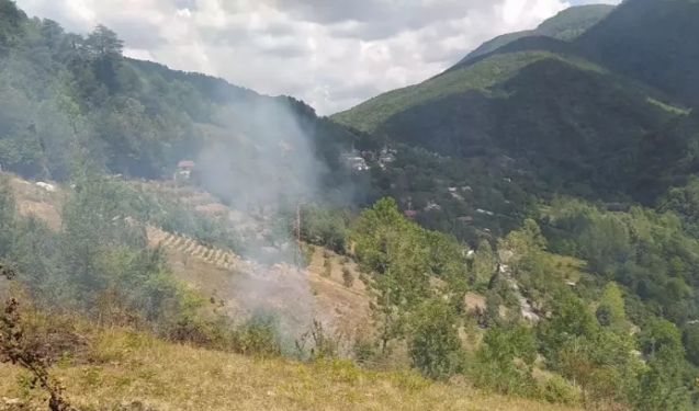 Tarlada çıkan anız ateşi ormana sıçradı...