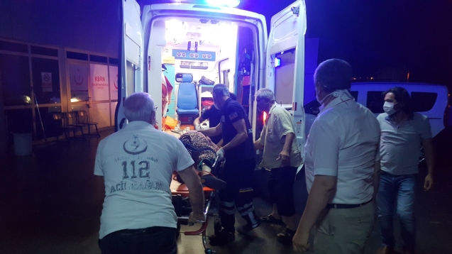 Tüm müdahalelere rağmen kurtarılamadı...