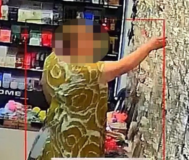 Hırsızlık anı güvenlik kamerasına yansıdı.