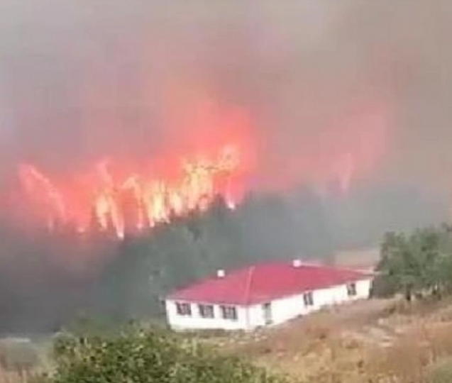 Orman yangınında dumanlar merkezi sardı