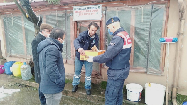 Jandarma yol kenarında yaralı halde buldu...