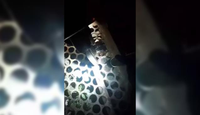 Kurtarılan yavru kediye 'Mazgal' adı verildi...