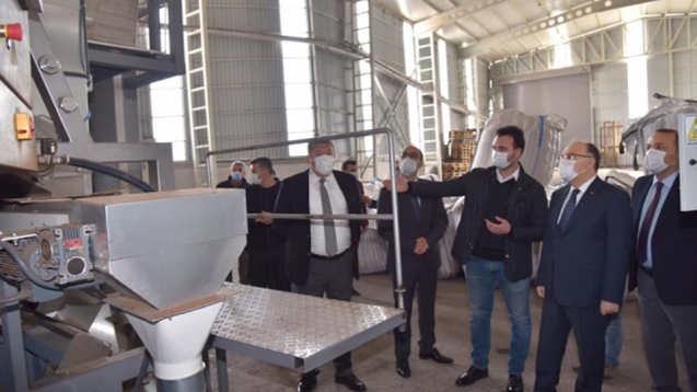 Vali Tutulmaz Erçal fındık fabrikasını ziyaret etti...