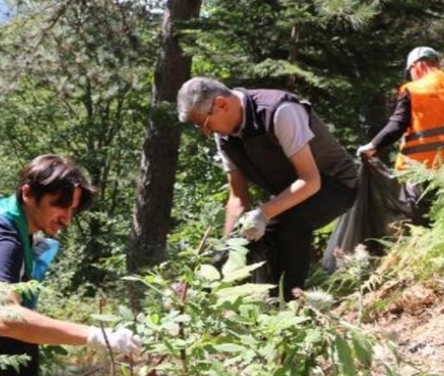 Ormanda 3 kilometrelik alanda 90 poşet çöp çıktı