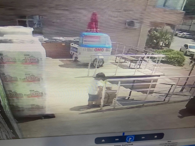 Yavru kedi her yerde aranıyor...