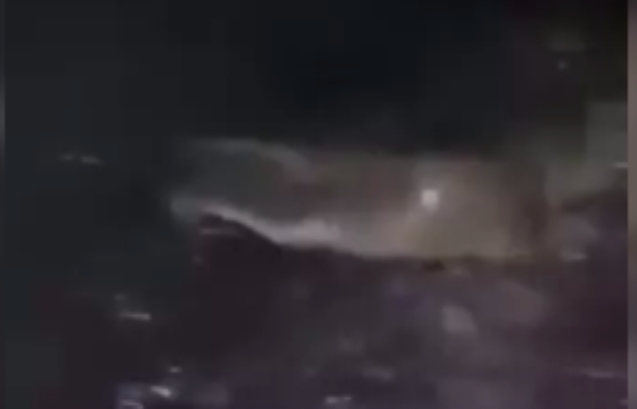 Su samurunu balıkla beslediler...