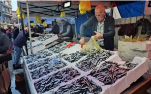 Zonguldak’ta hamsinin kilosu 70 liraya düştü...