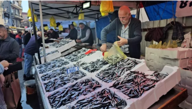 Zonguldak’ta hamsinin kilosu 70 liraya düştü...