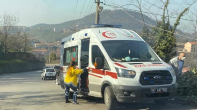 Yol kenarında hareketsiz yatarken görüldü