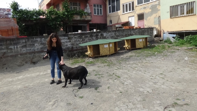 Yaşamak istediğin gibi yaşat...