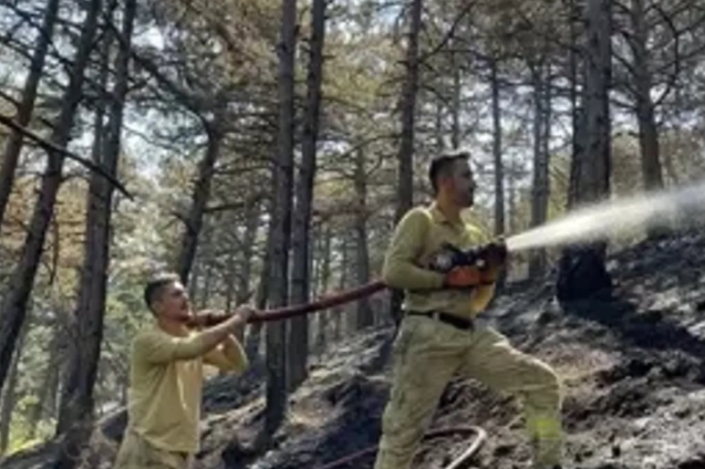 Çıkan orman yangınında, 12 hektar alan zarar gördü.