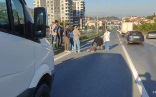 Karşıya geçmek istedi... Minibüs çarptı...
