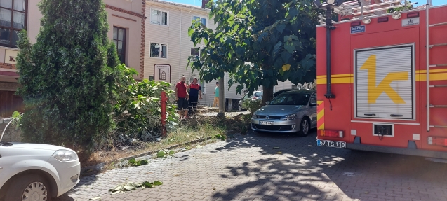 DEVRİLEN AĞAÇ YANGINA SEBEP OLDU...