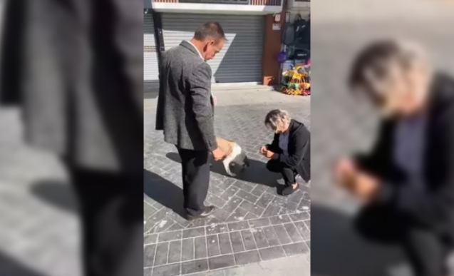 Patisini ezdikleri köpeği bulup mama verdi...