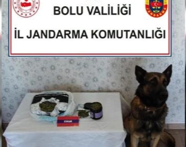 Narkotik köpeği yolcu otobüsünde uyuşturucu buldu !