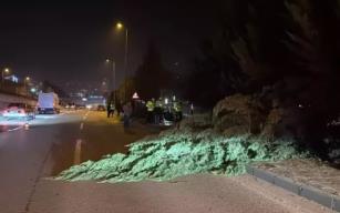 Önce aydınlatma direğine, sonra ağaçlara çarptı...