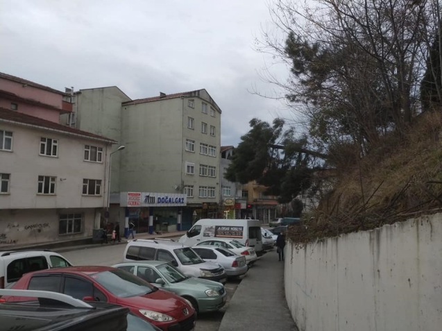 Okul bahçesinde bulunan ağaç devrildi...