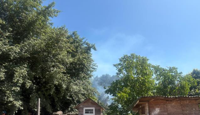 Çöp yangını fındıklığa sıçradı...