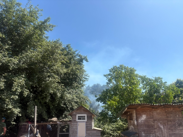 Çöp yangını fındıklığa sıçradı...