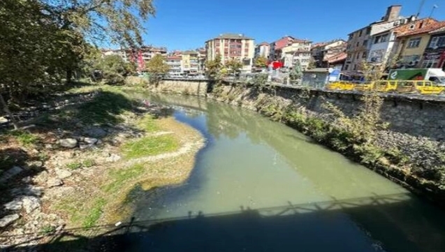 Bartın Irmağı'nda toplu balık ölümleri