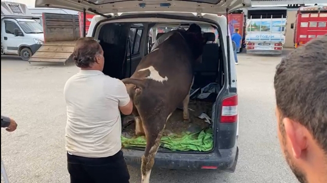 Danayı kendisine ait lüks araca yükledi.