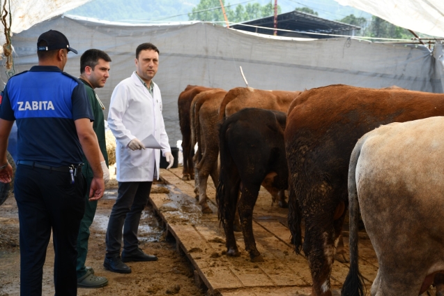 Kurban pazarı denetlendi, kurban yakalama timi kuruldu...