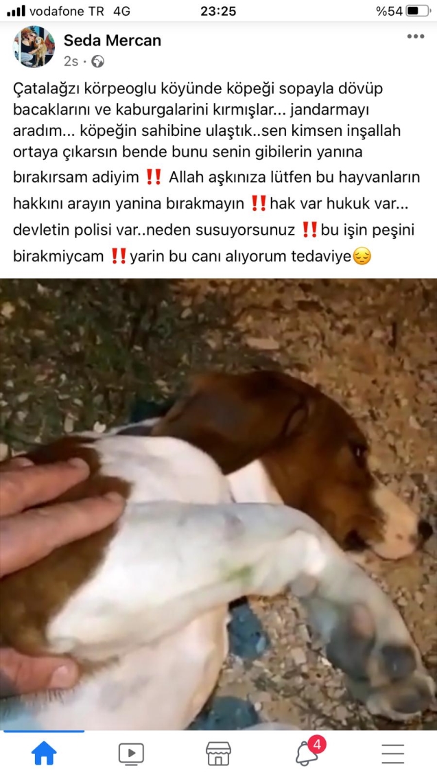 Kaburgaları ve bacakları kırıldı...