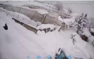 Üzerinde kar biriken sera çöktü...