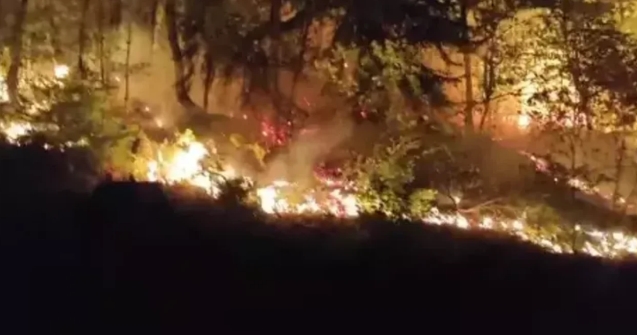 Orman yangını; 2 saatte kontrol altında...