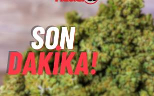 Alaplı'da uyuşturucu madde ele geçirildi...