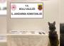Saklanan U*uşturucuyu narkotik köpeği buldu...