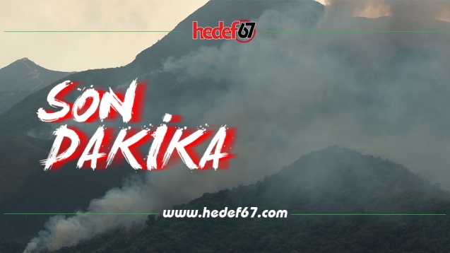 Ormanlık alanda yangın...