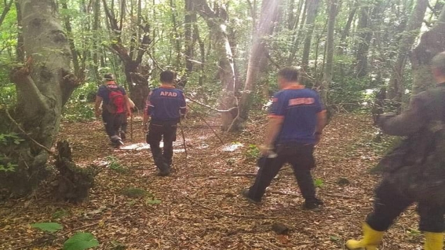 Ormanda kaybolan şahısı arama çalışmaları sürüyor...