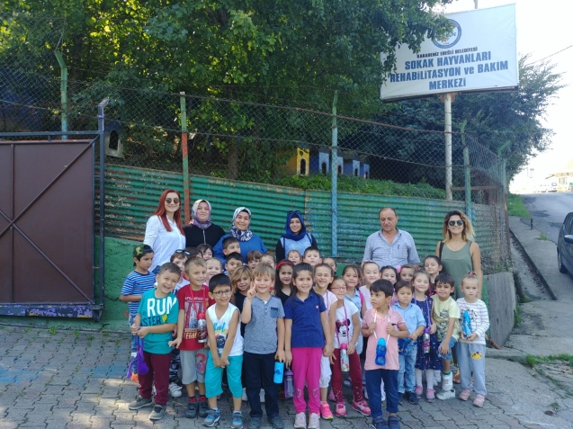 MİNİK KALPLERDEN BARINAK HAYVANLARINA MAMA DESTEĞİ...