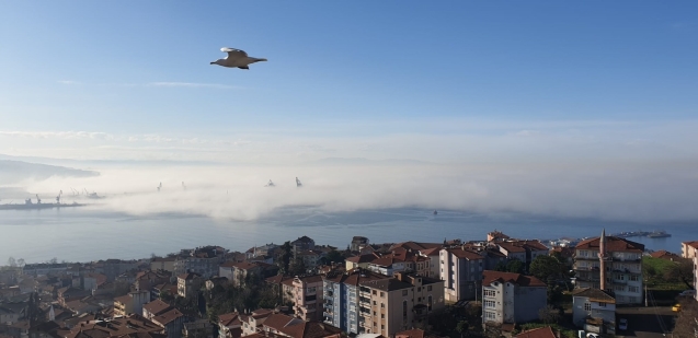 Yoğun sis deniz üzerinde kartpostallık görüntüler oluşturdu.