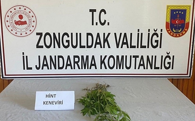Kenevir operasyonu…
