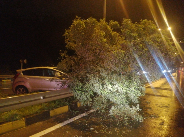 Ereğli- Alaplı karayolu üzerinde trafik kazası...