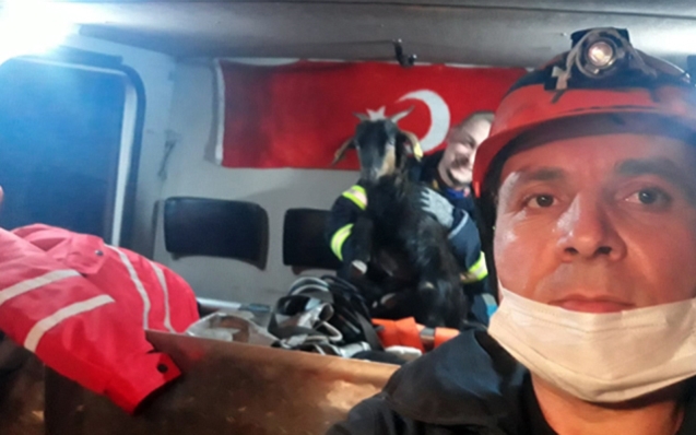5 keçinin imdadına itfaiye ekipleri yetişti...