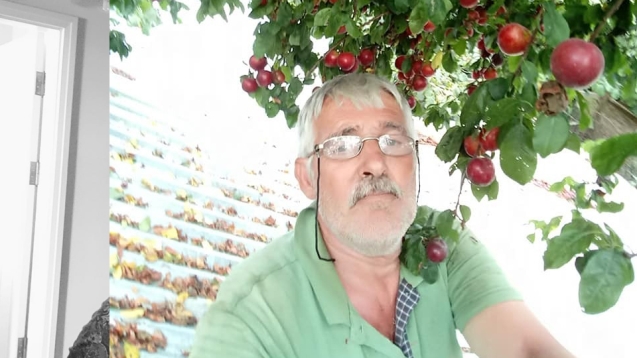 Ağaçtan düştü... hayatını kaybetti...