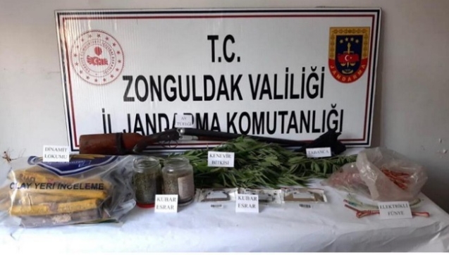 74 kök hint keneviri ele geçirildi...