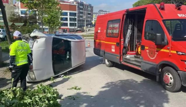 Kontrolden çıktı... Ağaca çarparak devrildi...